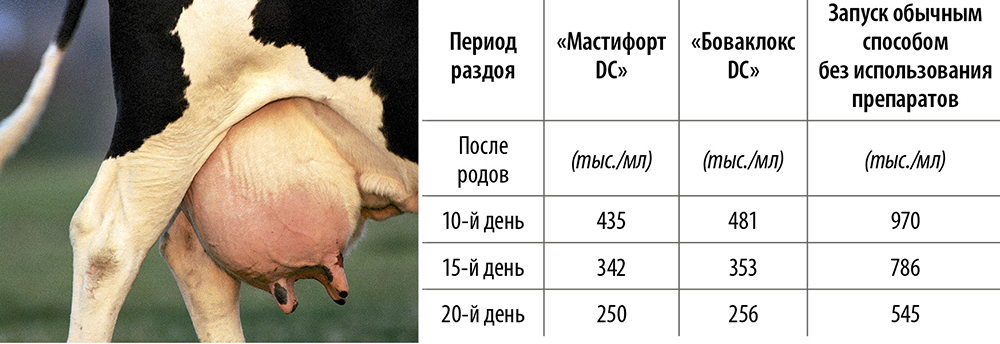 Метрит-мастит-агалактия у свиньи